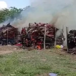 इस्तीफा वापस लेंगे शरद पवार, पार्टी समर्थकों से चर्चा में उन्होंने कही ये बात