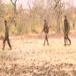 अमेरिका : टेक्सास के शॉपिंग मॉल में गोलीबारी, 9 की मौत, बच्चों समेत कई घायल
