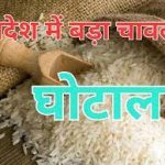 कांगेर घाटी राष्ट्रीय उद्यान में संकटग्रस्त जंगली भेड़ियों की हुई वापसी