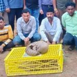 आज मुख्यमंत्री ऑनलाइन भेजेंगे पीएम आवास योजना के हितग्राहियों की राशि
