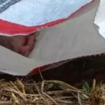 4 बेटियों की मां ने कीटनाशक पीकर की आत्महत्या, पारिवारिक विवाद से थी परेशान