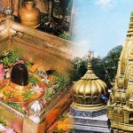 सैलजा से कांग्रेस प्रवक्ता डॉ. नरेश कुमार की चाय पर हुई चर्चा