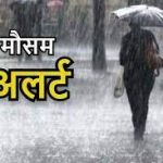 Sunday Special Recipie:चिली गार्लिक पराठा