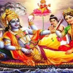 बीजापुर  में मिला जापानी बुखार का वायरस , स्वास्थ्य विभाग अलर्ट मोड में