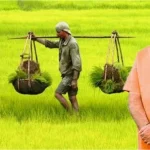 जब मितान बन 5500 वां कार्ड लेकर कलेक्टर खुद पहुंचे हितग्राही के घर