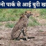 अजित जोगी के राजनीति क्षेत्र में 50 साल पूरे होने पर उनके नाम का सिक्का हुआ जारी, जानें क्या है कीमत