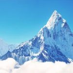 पश्चिम बंगाल : हावड़ा मार्केट में भीषण आगजनी, 800 -1000 दुकानें जलकर खाक