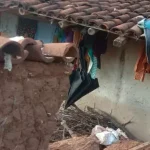 विस का मानसून सत्र : तीसरे दिन प्रश्नकाल में बीजेपी विधायक शिवरतन शर्मा ने उठाया सड़क निर्माण में अनियमितता का मुद्दा