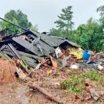जशपुर : हाथियों ने रौंदा टमाटर की फसल, अन्य फसलों और अनाज भी किया नष्ट