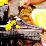 पुटू बीनने जंगल गए बुजुर्ग पर हाथी ने किया हमला, मौके पर ही मौत
