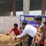 जिला पंचायत सीईओ ने राखी खरीदकर बढ़ाया महिला समूह का मनोबल 