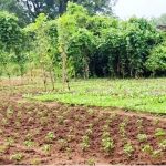 युवाओं से भेंट-मुलाकात : किस्सा तब का जब कलेक्टर थे अजीत जोगी और मुख्यमंत्री भूपेश बघेल थे स्टूडेंट