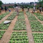 30 जून को सेवानिवृत्त होने वाले शासकीय सेवकों को एक जुलाई को एक वेतन वृद्धि देकर सेवानिवृत्त परिलाभ दिए जाने के निर्देश