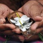 मुख्यमंत्री ने स्वतंत्रता दिवस पर छत्तीसगढ़वासियों को दी अनेक महत्वपूर्ण सौगात