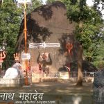 CG Accident: घटारानी से घूमकर लौट रहे सैलानियों से भरी ट्रैक्टर अनियंत्रित होकर पलटी, एक मासूम बच्ची की मौत, 3 घायल