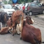 राज्य सरकार 9 अगस्त विश्व आदिवासी दिवस को मनाएंगे व्यापक स्तर पर