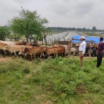 लोकतंत्र के लिए खतरा बना ED, छापेमारी की कार्रवाई चुनाव देखकर हो रही है : मुख्यमंत्री भूपेश बघेल