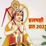 Lunch Special Recipe: भरवां करेला
