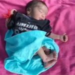 मुख्यमंत्री 19 सितम्बर को सीतामढ़ी-हरचौका में राम वनगमन पर्यटन परिपथ के विकास कार्यों का करेंगे लोकार्पण