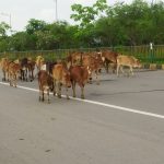 2035 में भारतीय स्पेस स्टेशन और 40 में चांद पर पहला भारतीय, ISRO ने रिव्यू मीटिंग में PM मोदी से किया वादा
