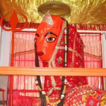 कांग्रेस ने जारी की 40 स्टार प्रचारकों की लिस्ट, जानें किन्हें मिली विधानसभा चुनाव के प्रचार की जिम्मेदारी