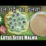 नवरात्रि विशेष : 51 शक्तिपीठों में शामिल है रतनपुर का महामाया मंदिर में गिरा था माता सती का दाहिना हाथ
