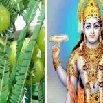 Winter Special Recipe: मेथी थेपला