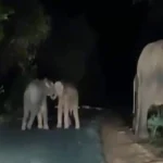 वर्ल्ड कप के बाद भारत के इस तेज गेंदबाज ने गुपचुप रचाई शादी, नवदीप और उनकी गर्लफ्रेंड ने सोशल मीडिया में शेयर की फोटोज