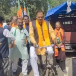 बीसीसीआई ने इन मैचों में आतिशबाजी पर लगाया प्रतिबंध, जानें क्या है वजह