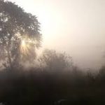 आज का इतिहास 27 नवंबर : हिंदी साहित्य के नई कविता साहित्यिक आंदोलन के भारतीय कवि हरिवंश राय बच्चन आज के दिन 1907 में हुआ था