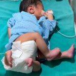 14 नवंबर को प्रियंका गांधी दूसरे चरण के मतदान के लिए करेंगी रोड शो