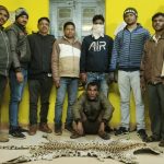 पॉवर कंपनी शतरंज चैंपियनशिप में कोरबा ने मारी बाजी