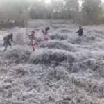 महादेव एप का एक और मास्टरमाइंड को दुर्ग पुलिस ने किया गिरफ्तार
