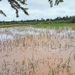 चेन्नई में तूफान मिचौंग से तबाही के बाद स्कूल-कॉलेज आज भी बंद, परीक्षाएं भी टलीं