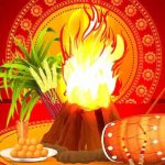 हटके खबर : 22 जनवरी के दिन डिलीवरी डिमांड, महिलाएं राम लला की प्राण प्रतिष्ठा के दिन देना चाहती हैं बच्चों को जन्म