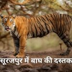 अडानी -हिंडनबर्ग मामला : सुप्रीम कोर्ट का सेबी की जांच में दखल से इनकार, कहा- तीन महीने में जांच पूरी करे नियामक