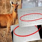 CG BREAKING : 2 IAS अधिकारियों के नवीन पदस्थापना…आदेश जारी