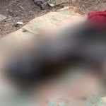 राहुल गांधी के फोटाग्राफर को विश्वनाथ मंदिर में नहीं मिली फोटो खींचने की परमिशन
