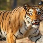 PSC घोटाले में बड़ी कार्रवाई, पीएससी के पूर्व चेयरमैन सहित कई लोगों के खिलाफ FIR दर्ज