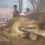 एक करोड़ से अधिक आयुष्मान कार्ड जारी करने वाला पहला राज्य बना असम