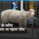छत्तीसगढ़ में 33 हजार शिक्षकों की भर्ती की तैयारियां तेज, जल्द होगा टीईटी (TET) परीक्षा, शिक्षा मंत्री बृजमोहन अग्रवाल ने दिए SCERT को निर्देश