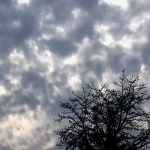 महादेव सट्टा एप के आरोपी सौरभ चंद्राकर और रवि उप्पल के खिलाफ वारंट जारी