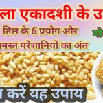 नगर पालिका गोबरा नवापारा में कांग्रेस का कब्ज़ा बरकरार,ध्वस्त हुआ अविश्वास प्रस्ताव