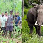 नए कानून के तहत न हो चुनाव आयुक्त की नियुक्ति, सुप्रीम कोर्ट में दायर की गई याचिका