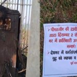 कांग्रेस कार्यकर्ताओं के बीजेपी प्रवेश पर किरण देव सिंह ने कहा,कार्यकर्ताओं को अपनी ही पार्टी में घुटन हो रही है