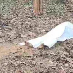 सुप्रीम कोर्ट ने रामदेव-बालकृष्णन को पेश होने का दिया आदेश,’पतंजलि’ ने अवमानना नोटिस का अब तक नहीं दिया जवाब
