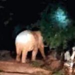 पूर्व मुख्यमंत्री भूपेश बघेल के खिलाफ 7 धाराओं में FIR दर्ज,EOW ने कसा शिकंजा