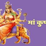चेन स्नेचिंग की महिला गिरोह का बिलासपुर पुलिस ने किया पर्दाफाश, गैंग में 7 महिला आरोपी शामिल