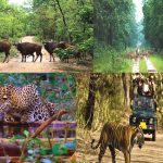 कुम्हारी बस हादसा : गृहमंत्री विजय शर्मा पहुंचे घटनास्थल, कर रहे हैं निरीक्षण