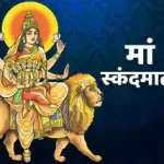 रायपुर लोकसभा निर्वाचन: अधिसूचना जारी होते ही नामांकन प्रक्रिया शुरू, पहले दिन 16 अभ्यर्थियों ने लिए नामांकन फार्म